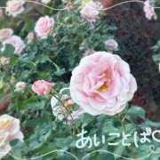 ヒメ日記 2025/12/02 10:30 投稿 みら わちゃわちゃ密着リアルフルーちゅ西船橋