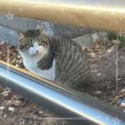 ヒメ日記 2025/12/11 11:30 投稿 みら わちゃわちゃ密着リアルフルーちゅ西船橋