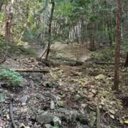 ヒメ日記 2025/09/19 02:10 投稿 神崎 せいこ AROMAGE（アロマージュ）