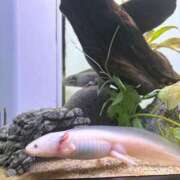 ヒメ日記 2025/09/29 17:14 投稿 とあ【FG系列】 フィーリングin横浜