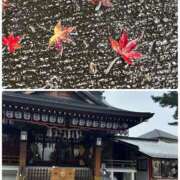 ヒメ日記 2025/12/14 14:21 投稿 まみ 熟女の風俗最終章 宇都宮店