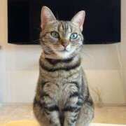 ヒメ日記 2025/12/19 21:05 投稿 まみ 熟女の風俗最終章 宇都宮店