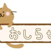ヒメ日記 2025/10/25 17:16 投稿 なあ ぷよラブパラダイス