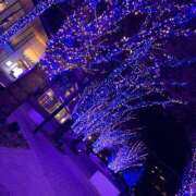 ヒメ日記 2025/10/26 12:52 投稿 なあ ぷよラブパラダイス