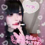 ヒメ日記 2026/02/20 04:19 投稿 ぽぽ スピードエコ日本橋店