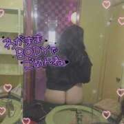 ヒメ日記 2026/03/27 08:49 投稿 ぽぽ スピードエコ日本橋店