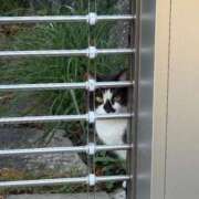 三島　かんな 出勤💜🤍💜 ナディア（奈良）