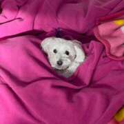 ヒメ日記 2025/12/07 10:51 投稿 三島　かんな ナディア（奈良）