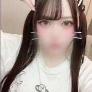 ヒメ日記 2025/10/06 07:01 投稿 ねむ The White