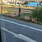ヒメ日記 2026/09/30 12:10 投稿 みな The White（ザ ホワイト）