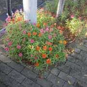 ヒメ日記 2026/10/14 15:06 投稿 みな The White（ザ ホワイト）