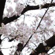 ヒメ日記 2026/03/24 16:05 投稿 ねね おいらん遊郭