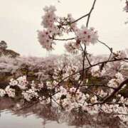 ヒメ日記 2026/04/02 12:05 投稿 ねね おいらん遊郭