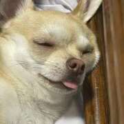 ヒメ日記 2025/09/17 05:47 投稿 ゆりな 新宿スピン