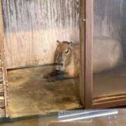 ヒメ日記 2025/10/13 14:39 投稿 ゆりな 新宿スピン