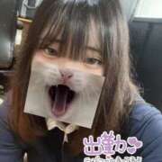 ヒメ日記 2025/10/15 12:27 投稿 ゆりな 新宿スピン