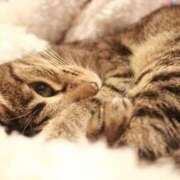 ヒメ日記 2025/10/28 17:02 投稿 森下くるみ LUXE(リュクス)