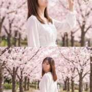 ヒメ日記 2026/03/17 11:32 投稿 森下くるみ LUXE(リュクス)