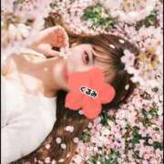 ヒメ日記 2026/04/10 17:18 投稿 森下くるみ LUXE(リュクス)