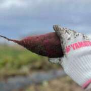 ヒメ日記 2025/10/20 11:16 投稿 なつか未経験 iris～アイリス～