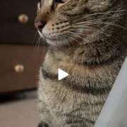 ヒメ日記 2025/10/30 10:30 投稿 麗【れい】 La Rouge(中津)