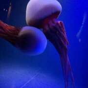 のの 急遽❣️ CLUB DEEP 博多