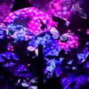 ヒメ日記 2025/10/04 20:45 投稿 本田まこと ワイフコレクション