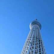 本田まこと ☺️ ワイフコレクション