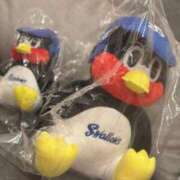 ヒメ日記 2026/04/23 17:26 投稿 星野　まりな Muzerva Wave