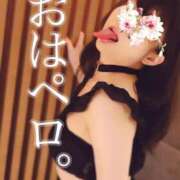 千依莉 👅 おはペロ。👅 変態貴族 五反田店