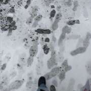 ヒメ日記 2026/02/08 16:22 投稿 めいか an_an（アンアン）