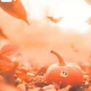 ヒメ日記 2025/09/22 07:29 投稿 ほたる ハイブリッドヘルス小岩中央