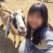 ヒメ日記 2026/02/17 18:02 投稿 ほたる ハイブリッドヘルス小岩中央