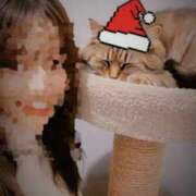 ヒメ日記 2026/02/22 20:19 投稿 ほたる ハイブリッドヘルス小岩中央