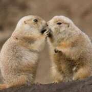 ヒメ日記 2026/04/15 10:29 投稿 ほたる ハイブリッドヘルス小岩中央