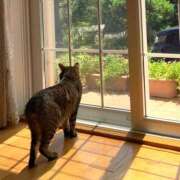 すずらん 亜鉛不足って貧血って言うんですか バイオレンス