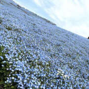 ヒメ日記 2026/04/28 09:51 投稿 唐沢　さつき イラマチーオ池袋店