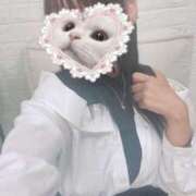 青木 はるか おはよう🩷 メルビス＆アトリアーナ