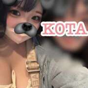 ヒメ日記 2026/03/06 12:49 投稿 こた 大阪和泉ちゃんこ