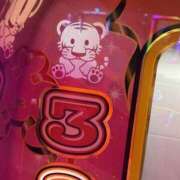 ヒメ日記 2026/03/08 12:09 投稿 こた 大阪和泉ちゃんこ