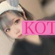 ヒメ日記 2026/03/19 08:29 投稿 こた 大阪和泉ちゃんこ