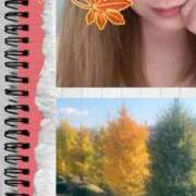 ヒメ日記 2025/11/21 00:59 投稿 りえ 山梨デリヘル 絆