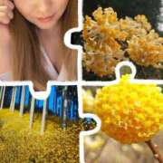 ヒメ日記 2026/02/22 18:14 投稿 りえ 山梨デリヘル 絆