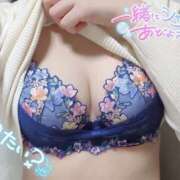 ヒメ日記 2025/09/16 17:08 投稿 しおり【ヤりたい事全部出来る】 なすがママされるがママ 宇都宮