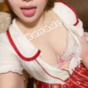 ヒメ日記 2026/02/17 01:51 投稿 かなで 奥様さくら難波店