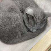 ヒメ日記 2025/12/09 06:48 投稿 花依梨／かいり 大宮人妻セレブリティ（ユメオト）