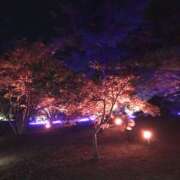 ヒメ日記 2025/12/10 06:31 投稿 花依梨／かいり 大宮人妻セレブリティ（ユメオト）