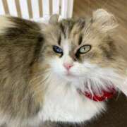 ヒメ日記 2025/12/10 10:30 投稿 花依梨／かいり 大宮人妻セレブリティ（ユメオト）