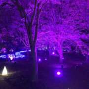 ヒメ日記 2025/12/12 20:44 投稿 花依梨／かいり 大宮人妻セレブリティ（ユメオト）