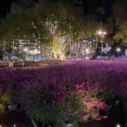 ヒメ日記 2025/12/22 13:25 投稿 花依梨／かいり 大宮人妻セレブリティ（ユメオト）